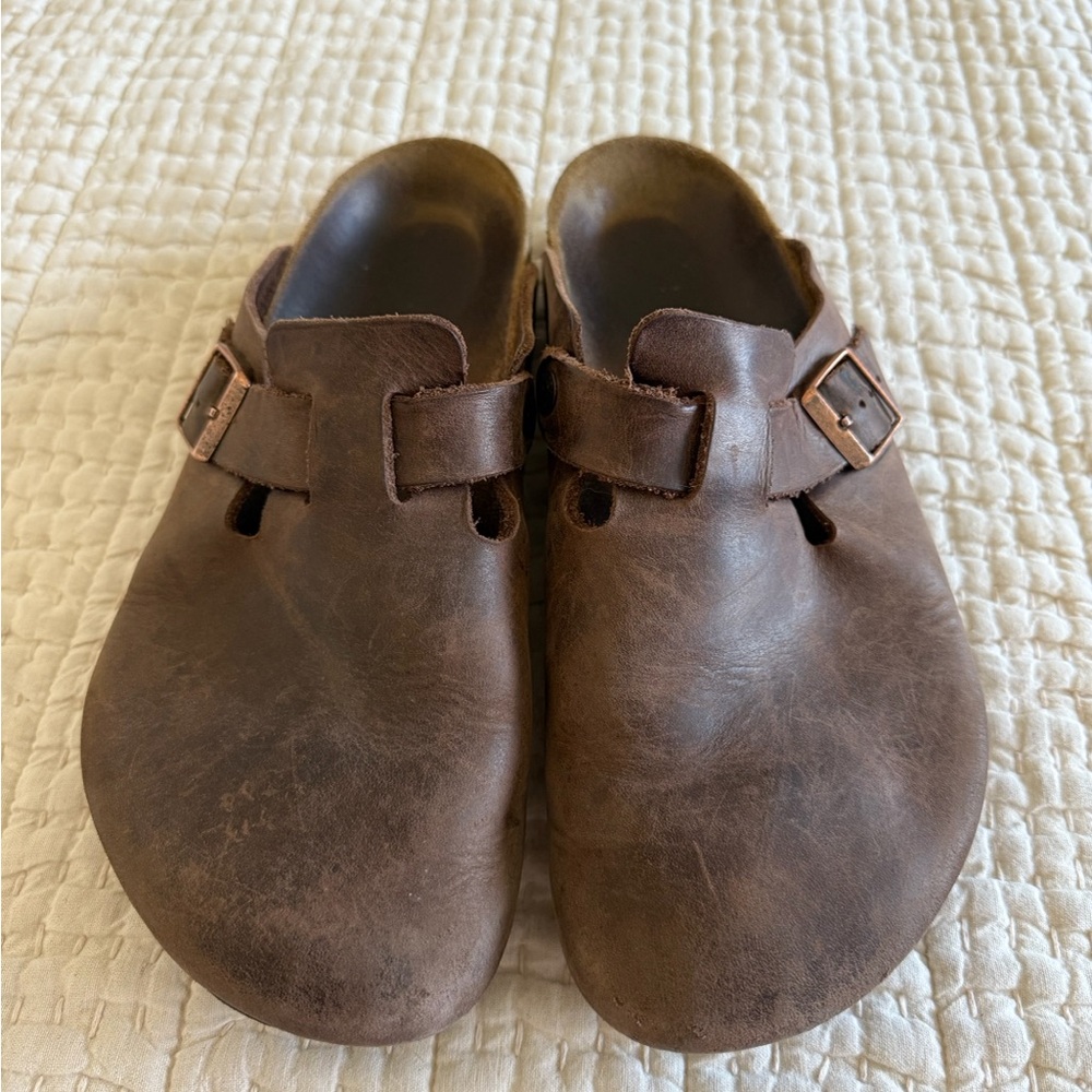 Brown Bostons